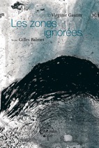 Les zones ignorées - Virginie Gautier - Gilles Balmet - Couverture